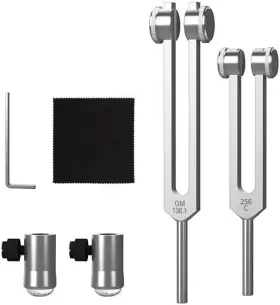 DD-E136 BRAND Didibirdi Tuning Fork Set Om Natural Gemstone #3