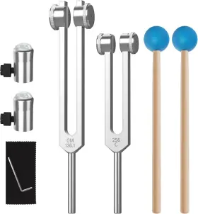 DD-E136 BRAND Didibirdi Tuning Fork Set Om Natural Gemstone