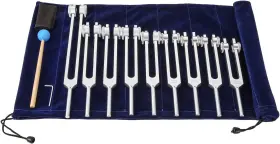 745499378970 DRELD Chakra Tuning Forks Sliver 745499378970 DRELD Chakra Tuning Forks Sliver
