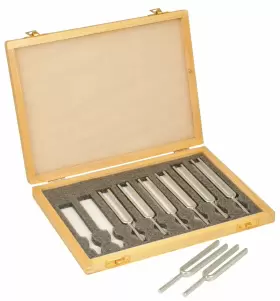 849230045999 EISCO Steel Tuning Forks Set