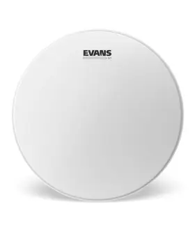 B18G1 EVANS Coated Drumhead