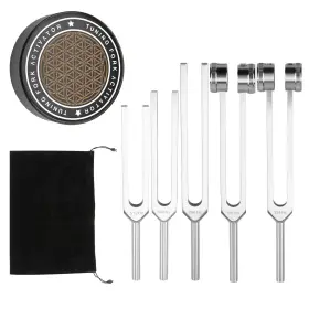15681051 JFRHUDS Tuning Forks Healing Set Sliver