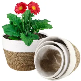 785378497705 MAHIONG Set Seagrass Planter Basket Plant