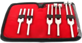OD2011-D-1242 Tuning Fork Set