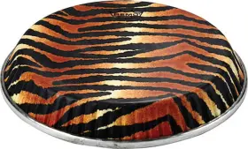 M4-1106-S6-D4007 REMO Conga Drumhead Symmetry Skyndeep Tiger #2