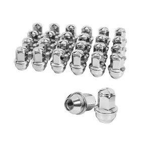 T28310 TAGMORE Lug Nuts Ford
