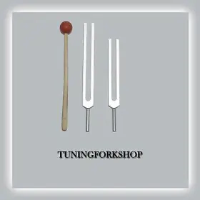 10016 TFS TUNINGFORKSHOP Body Tuning Fork Set Mallet Pouch 10016 TFS TUNINGFORKSHOP Body Tuning Fork Set Mallet Pouch