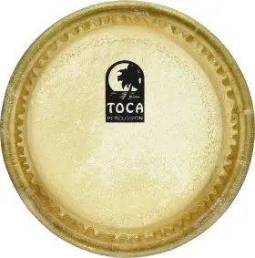 TP-33005 TOCA Head