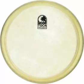 TP-40008 TOCA Bongo Head Fiberglass