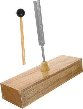 04TT09B758BTSEY TOYANDONA Physical Experiment Tuning Fork
