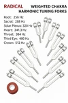 Weighted Chakra & Harmonic 15 Tuning Forks Sound Healing Therapy. Fixed Price $139.00.
