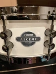 Sonor Ascent Snare -5.5x14- 9 Ply Beech-die Cast Hoops- Cr Me White/black Chrome. Fixed Price $400.00.
