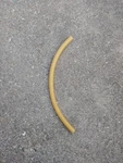 Steel Drum Pan Mallets Rubber Tubing - Lead/tenor Amber (1ft.) 9/16". Fixed Price $14.88.