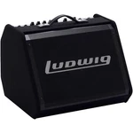Ludwig Lea100 100w Electronic Drum Amplifier. Fixed Price $349.00.