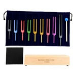 Dreld Tuning Fork Set, 9-piece Chakra Sound Healing Therapy Too. Fixed Price $133.21.