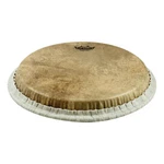 Conga, Tucked, 11 Skyndeep, Calfskin Graphic Drum Head. Fixed Price $126.99.