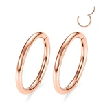 Gagabody 2 Pcs Nose Rings 20g 18g 16g 14g 12g 10g 8g Surgical Steel Piercing .... Fixed Price $14.37.