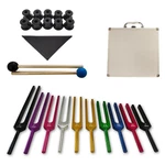 Mimiracle Solfeggio Tuning Forks Set - 10 Unweighted Aluminum Alloy Wit.... Fixed Price $99.27.