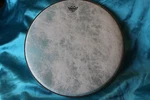 Remo 12" Fiberskyn(r) 3 Banjo Head, High Collar, Bj-1200-h5, Special Edition. Fixed Price $41.69.