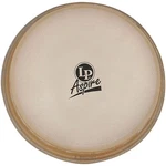 Lp 11" Aspire Conga Head. Fixed Price $109.99.