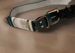 Wilson Green Youth Wta4444 Adjustable Elastic Baseball Softball Belt New. Fixed Price $5.98.