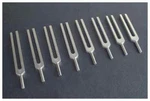 Eisco 8 Piece Octave Set Aluminum Tuning Forks Ph0738alt New. Fixed Price $34.99.