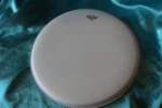 Remo 11-1/16" Banjo Head, Low Collar, Coated Top, Bj1101l1. Fixed Price $36.69.