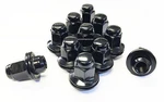10 Toyota Truck Suv Factory Style Oe Alloy Wheel Mag Lug Nuts 14x1.5 Nut Lexus. Fixed Price $19.99.