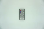 Remote Control For Lepy Lp-a68 Lp-269fs Bluetooth Hifi Digital Stereo Amplifier. Fixed Price $12.73.