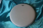 Remo 11" Crimped Banjo Head, Coated Top, High Collar, Coated, Bj-1100-h1-en. Fixed Price $34.29.