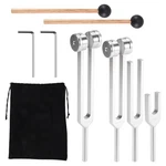 Tuning Fork Set (128hz, 136.1hz, 512hz,4096hz) Of Forks With Reflex9573. Fixed Price $21.45.